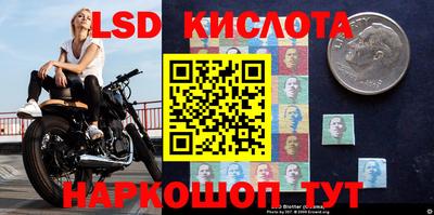 прущие грибы Туймазы